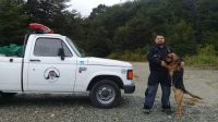 Por primera vez se convocó a los perros de rastreo de bomberos a una búsqueda de personas