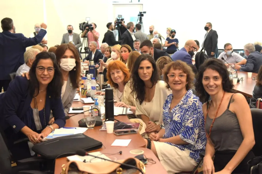 La "perlita" de diputada rionegrina en la comisión del acuerdo de la deuda con el FMI 