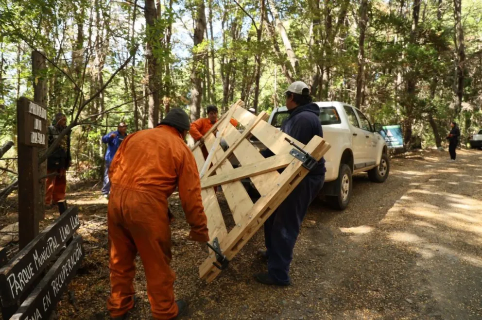 Intentaron apropiarse de 9 hectáreas del bosque Municipal Llao Llao
