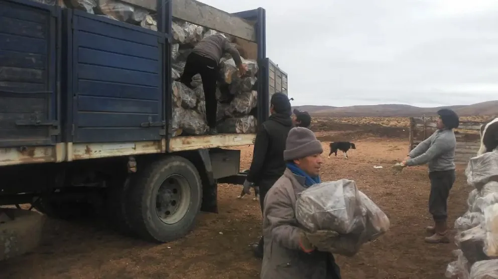Se empieza a organizar el Plan Calor para la distribución de leña