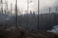 A un año de los incendios, Ambiente desembolsó una millonaria inversión