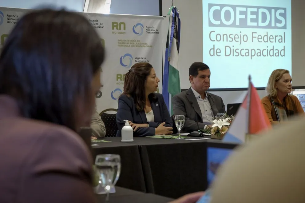 La Asamblea del Consejo Federal de Discapacidad sesiona en Bariloche