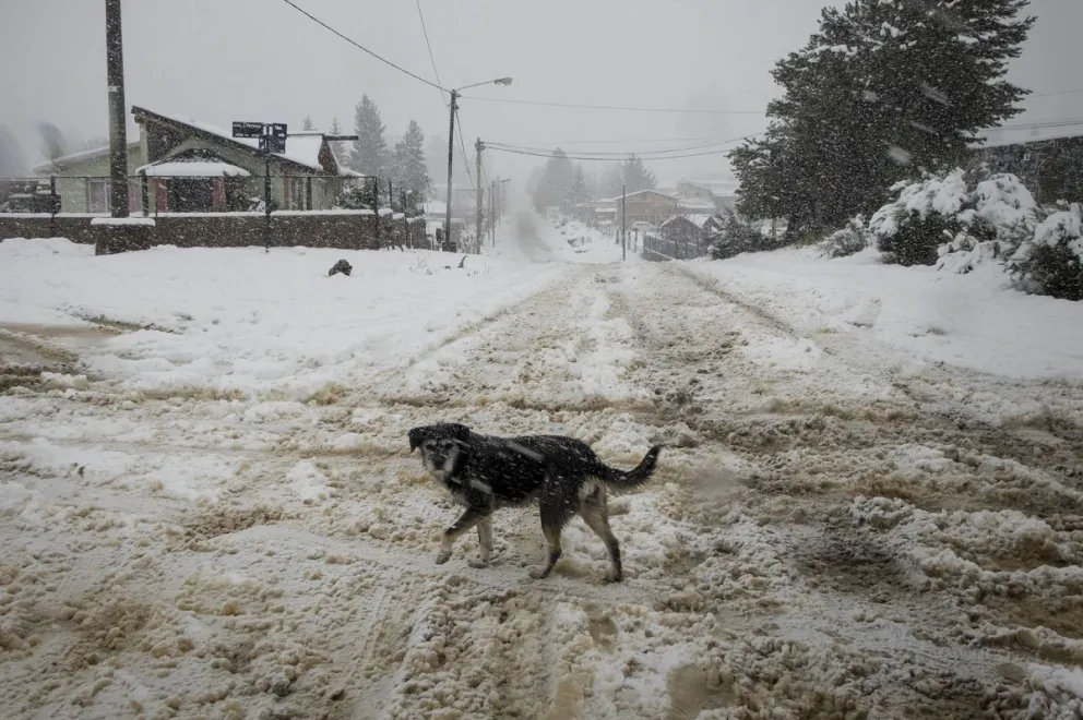 Por la nieve, hay barrios con problemas en el suministro de agua